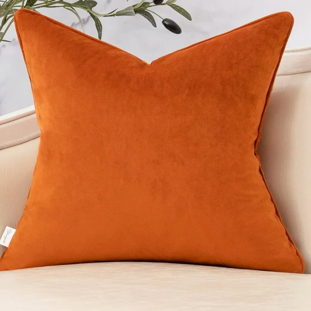 Coastal Coral Velvet Decorative Velvet Throw Pillow Cover 18x18
